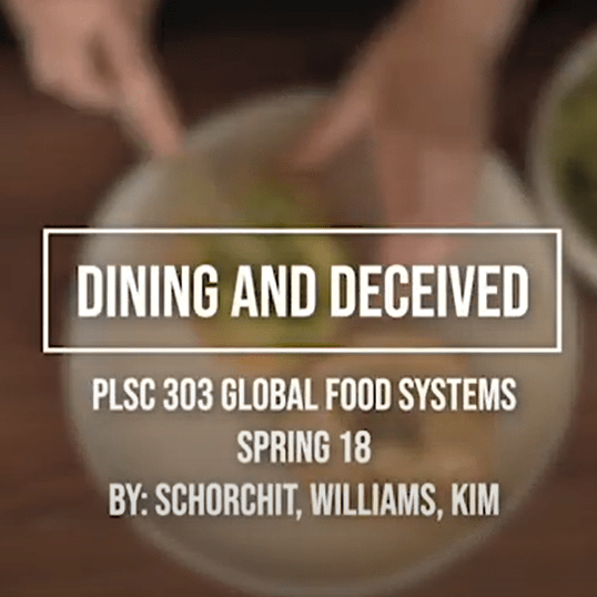 DINING & DECEIVED VIDEO&nbsp;PROJECT
